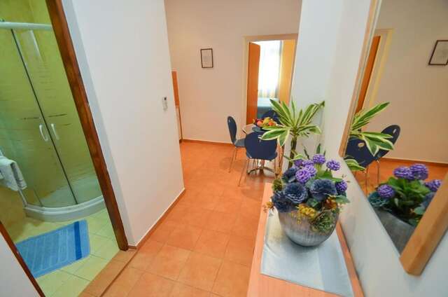 Апартаменты Apartments Vojin Рисан-37